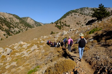 pezoporia_monopati_ligeris