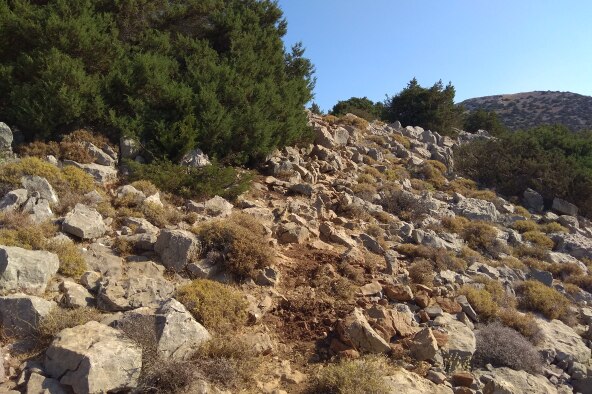 img_20210724_091934_1