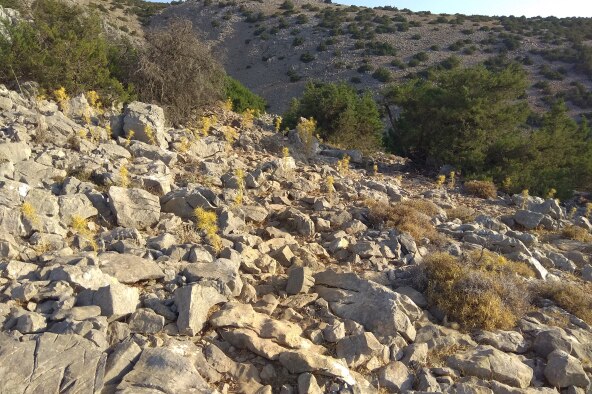 img_20210731_075859_1