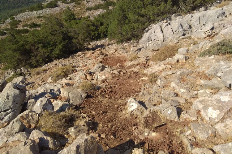 img_20210724_091925_1