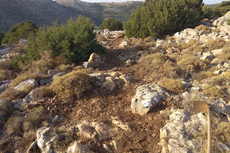 img_20210731_075915_1